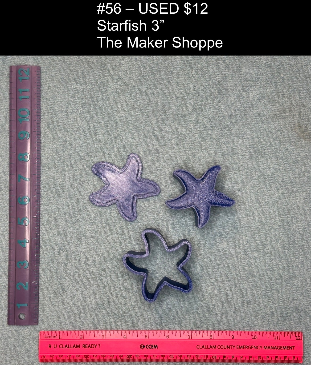Starfish 3"