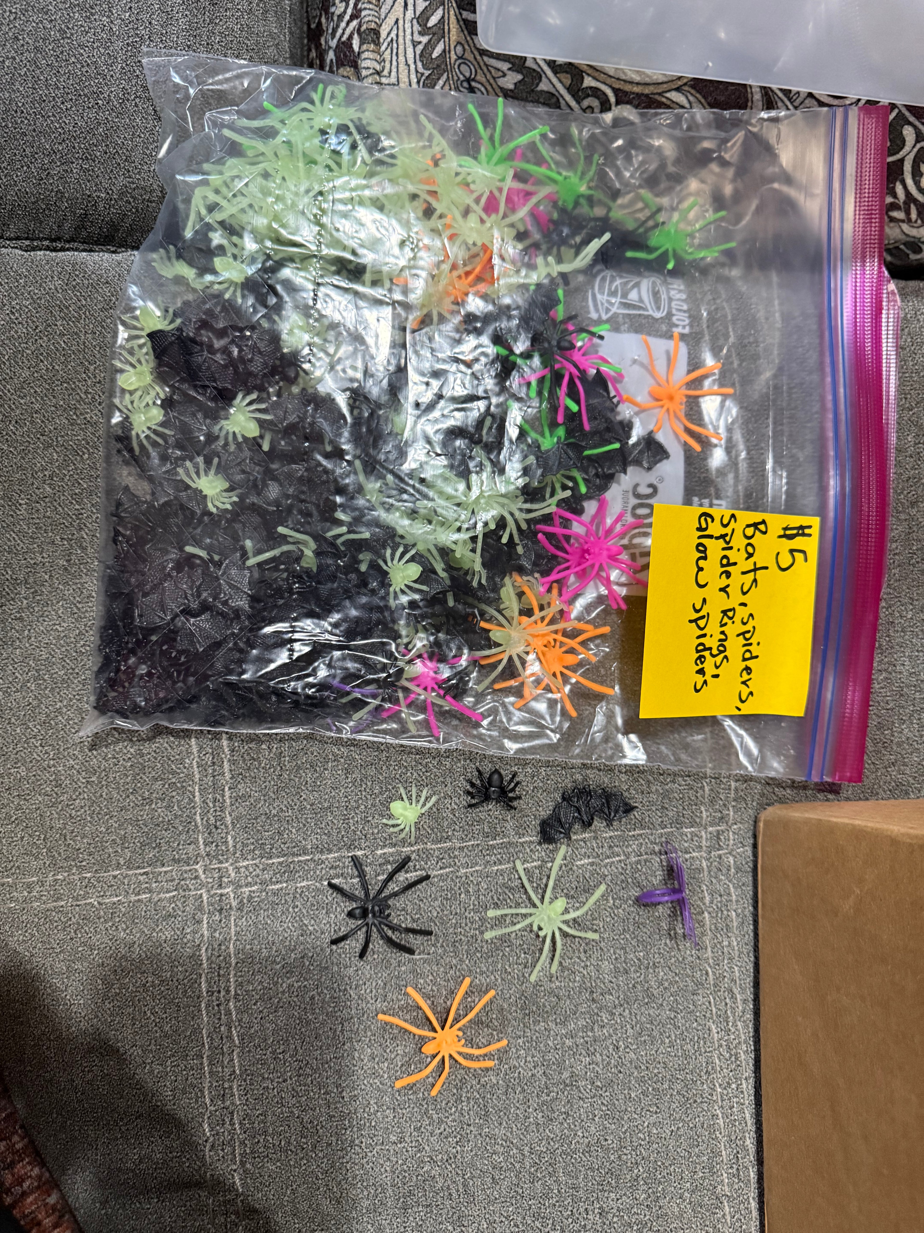 Spiders and bats